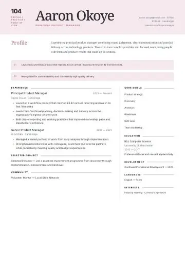 Black & Gold CV template preview