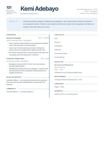 Compact Professional CV template preview