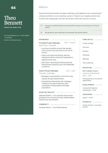 Double Column Blue CV template preview