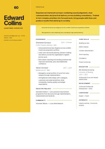 Electric Portfolio CV template preview
