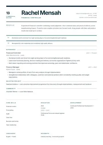 Financial Standard CV template preview