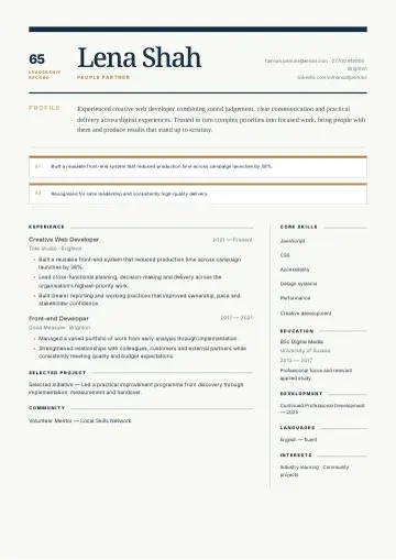 Navy Executive CV template preview