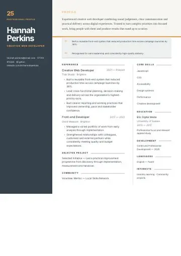 Noir Sidebar CV template preview