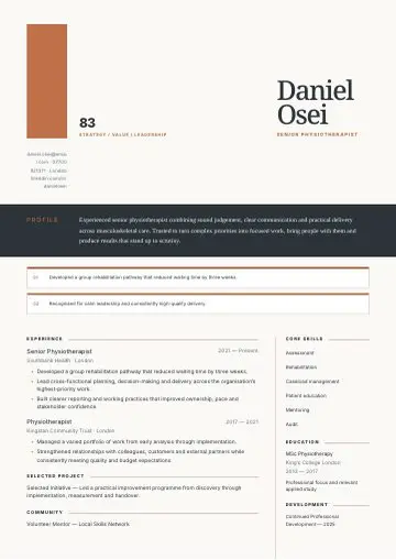 Royal Blue Dossier CV template preview