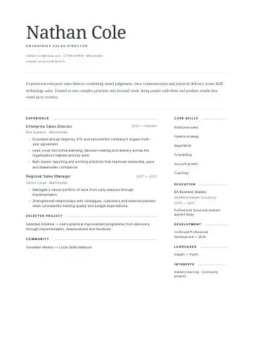 Soft Grey Column CV template preview