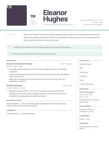 Timeline Pro CV template preview